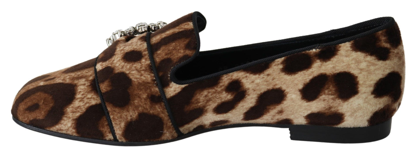 Dolce & Gabbana Brown Leopard Print Crystals Loafers Flats Shoes