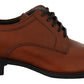 Dolce & Gabbana Brown Leather Lace Up Mens Formal Derby Shoes