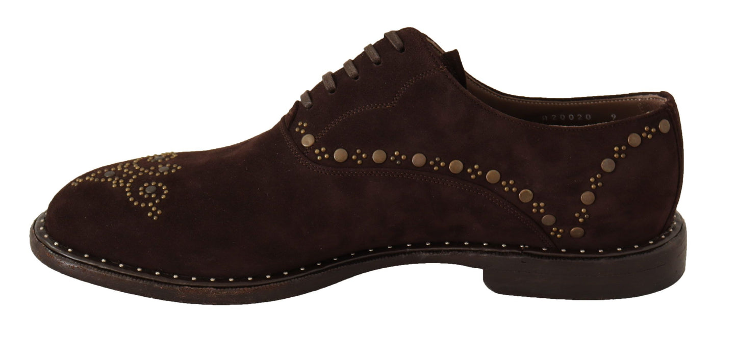 Dolce & Gabbana Brown Suede Marsala Derby Studded Shoes