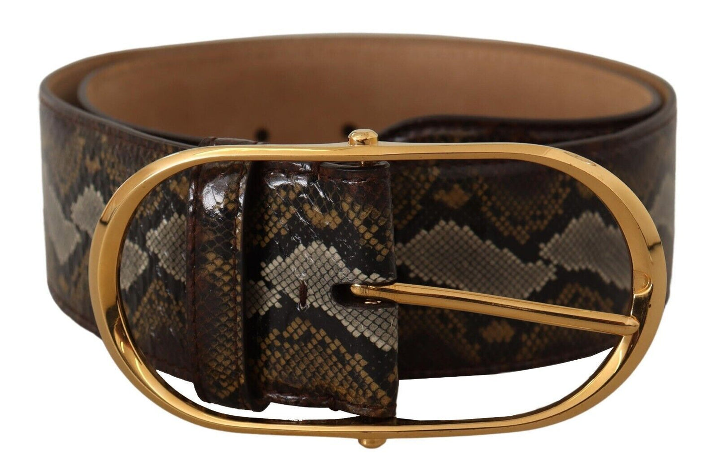 Dolce & Gabbana Brown Python Leather Gold Oval Buckle Belt