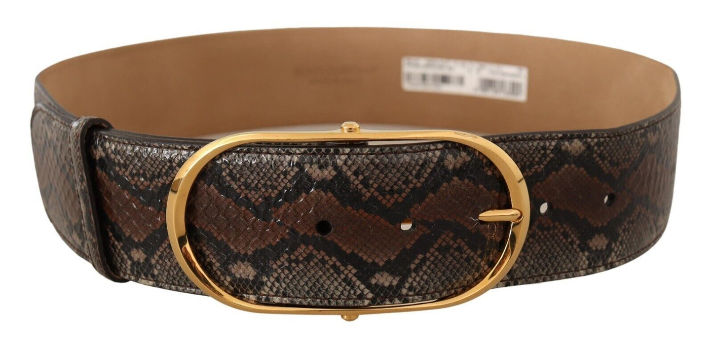 Dolce & Gabbana Brown Exotic Leather Gold Oval Buckle Belt