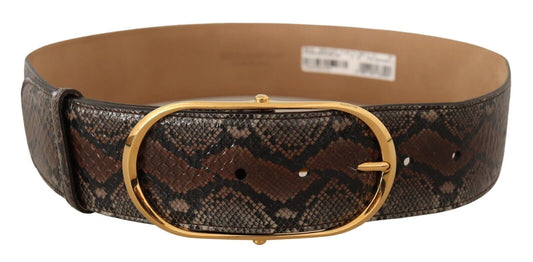 Dolce & Gabbana Brown Exotic Leather Gold Oval Buckle Belt