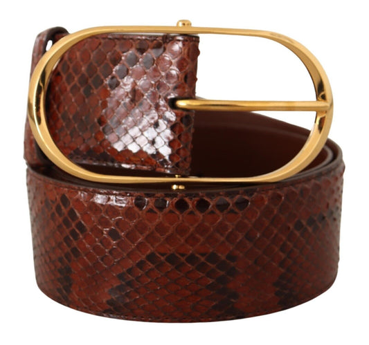 Dolce & Gabbana Brown Exotic Leather Gold Oval Buckle Belt