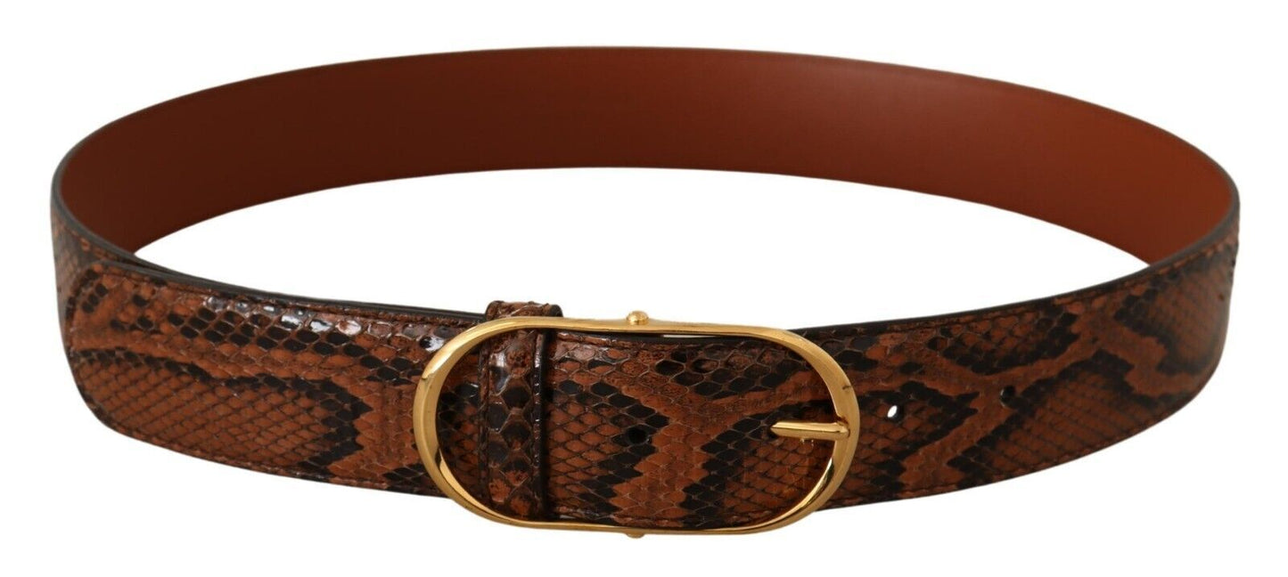 Dolce & Gabbana Brown Exotic Leather Gold Oval Buckle Belt