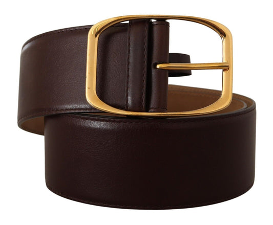 Dolce & Gabbana Dark Brown Leather Gold Metal Buckle Belt