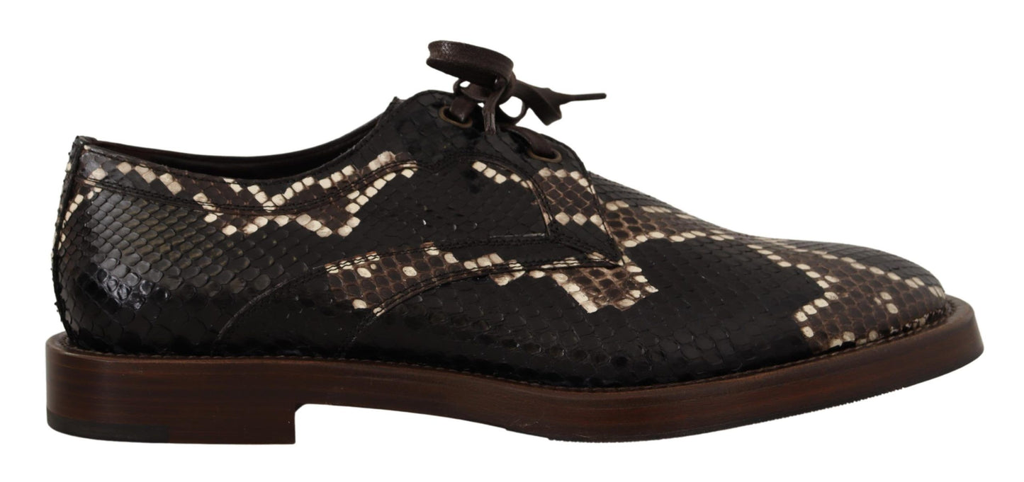 Dolce & Gabbana Brown Derby Exotic Leather Men Shoes