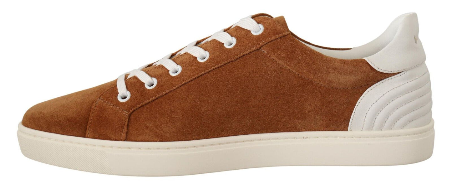 Dolce & Gabbana Brown Suede Leather Low Tops Sneakers Shoes