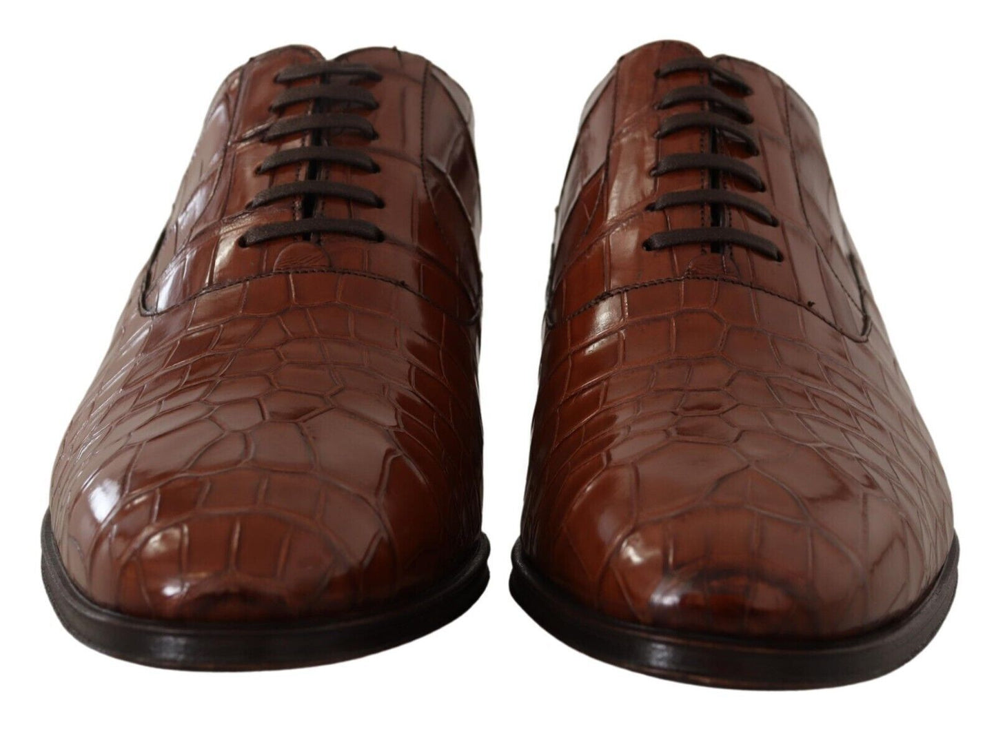 Dolce & Gabbana Brown Crocodile Leather Mens Formal Derby Shoes