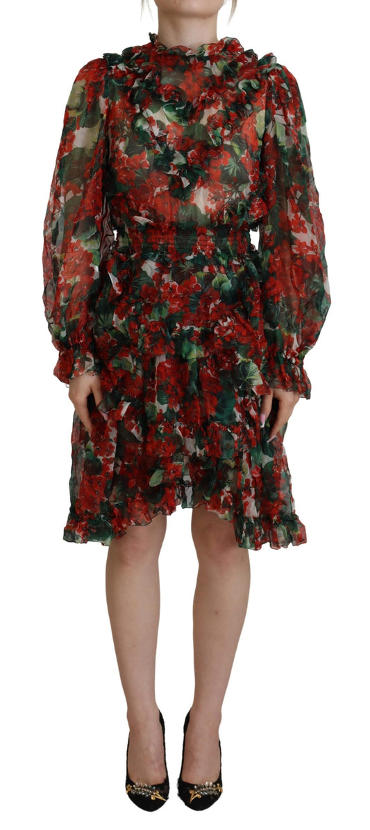 Dolce & Gabbana Red Floral Geranium A-line Dress