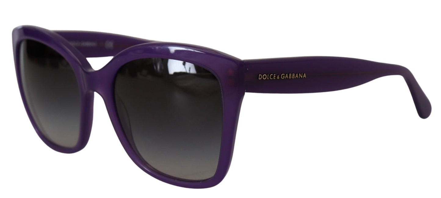 Dolce & Gabbana Purple Acetate Square Full Rim DG4240 Sunglasses