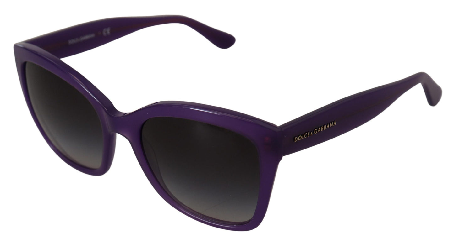 Dolce & Gabbana Purple Acetate Square Full Rim DG4240 Sunglasses