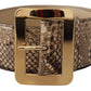 Dolce & Gabbana Brown Exotic Wide Waist Leather Gold Metal Buckle Belt