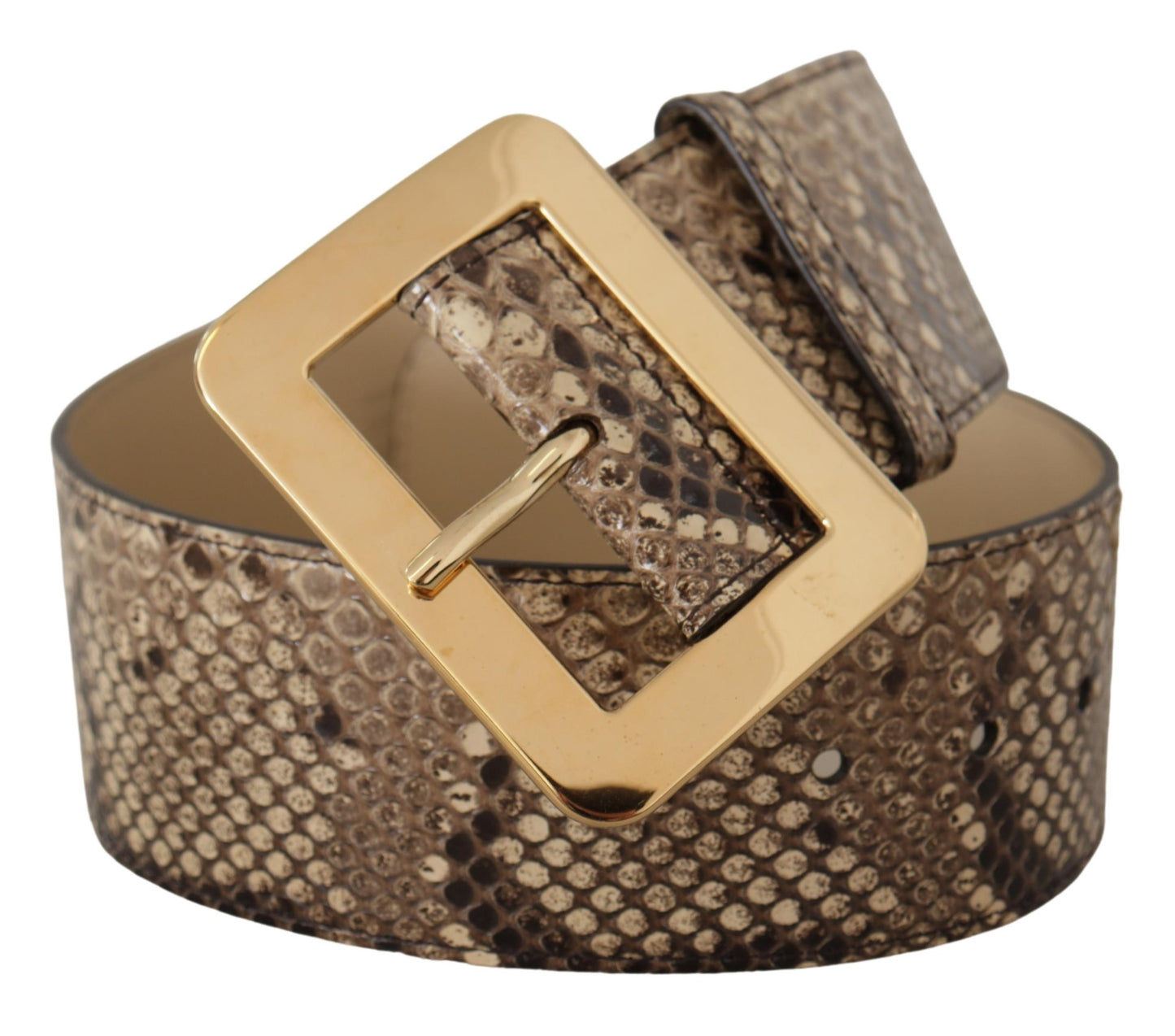 Dolce & Gabbana Brown Exotic Wide Waist Leather Gold Metal Buckle Belt