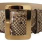 Dolce & Gabbana Brown Exotic Wide Waist Leather Gold Metal Buckle Belt