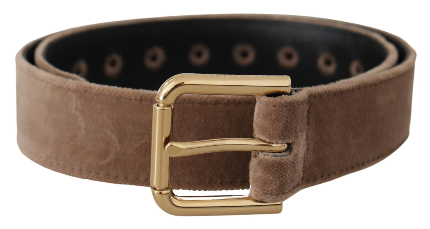 Dolce & Gabbana Light Brown Velvet Gold Tone Logo Metal Buckle Belt