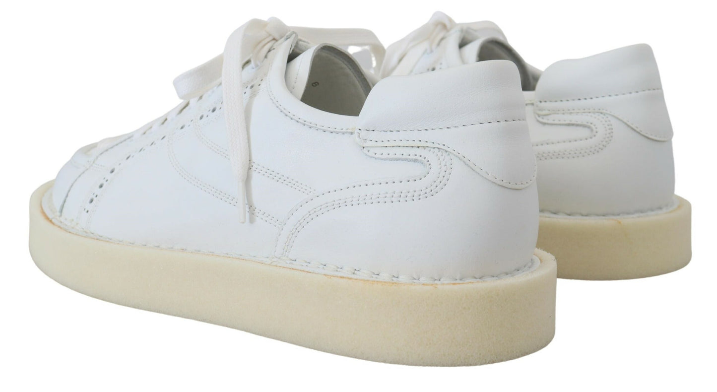 Dolce & Gabbana White Leather Low Top Oxford Sneakers Casual Shoes