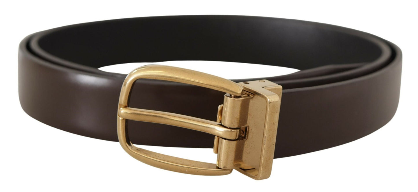 Dolce & Gabbana Brown Calf Leather Gold Tone Metal Buckle Belt