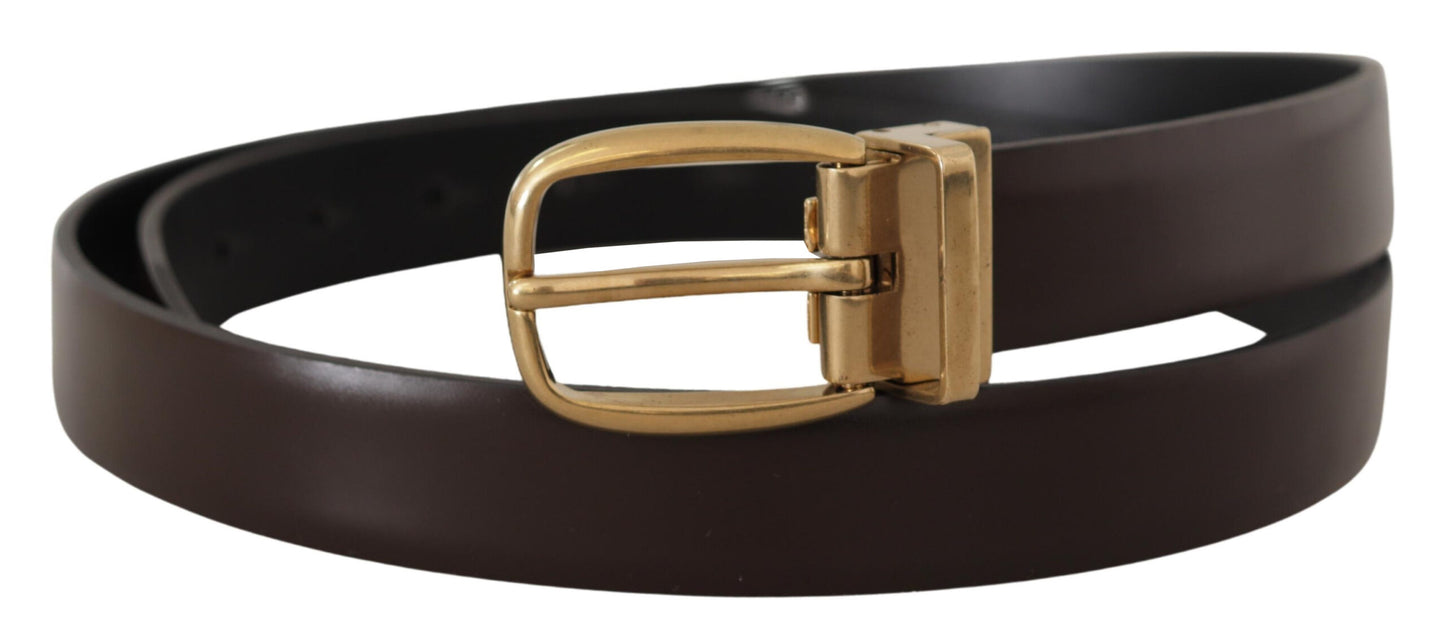 Dolce & Gabbana Brown Calf Leather Gold Tone Metal Buckle Belt