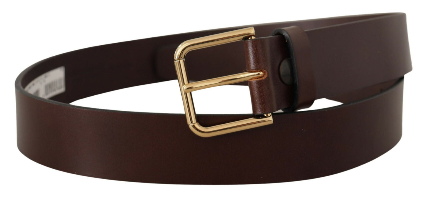 Dolce & Gabbana Brown Plain Calf Leather Gold Tone Buckle Belt