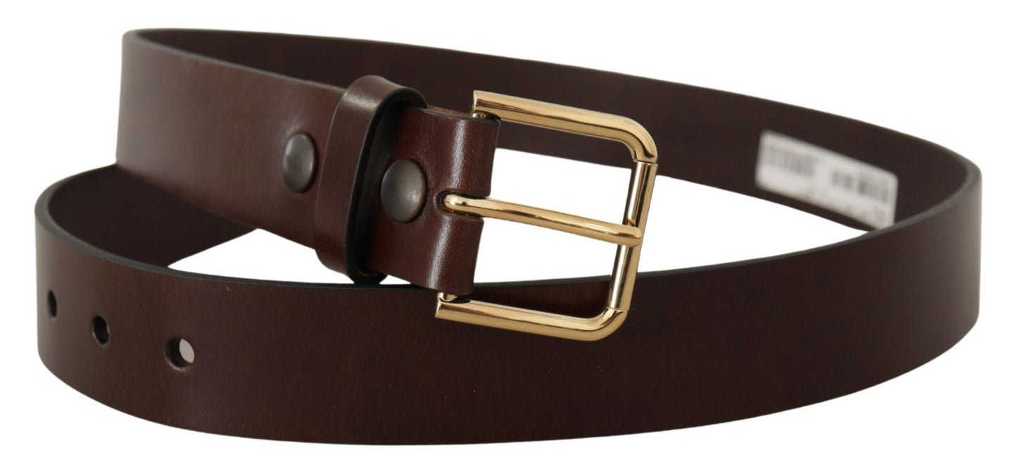 Dolce & Gabbana Brown Polished Leather Gold Tone Metal Buckle Belt