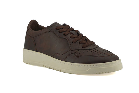 Saxone of Scotland Brown Leather Low Top Sneakers