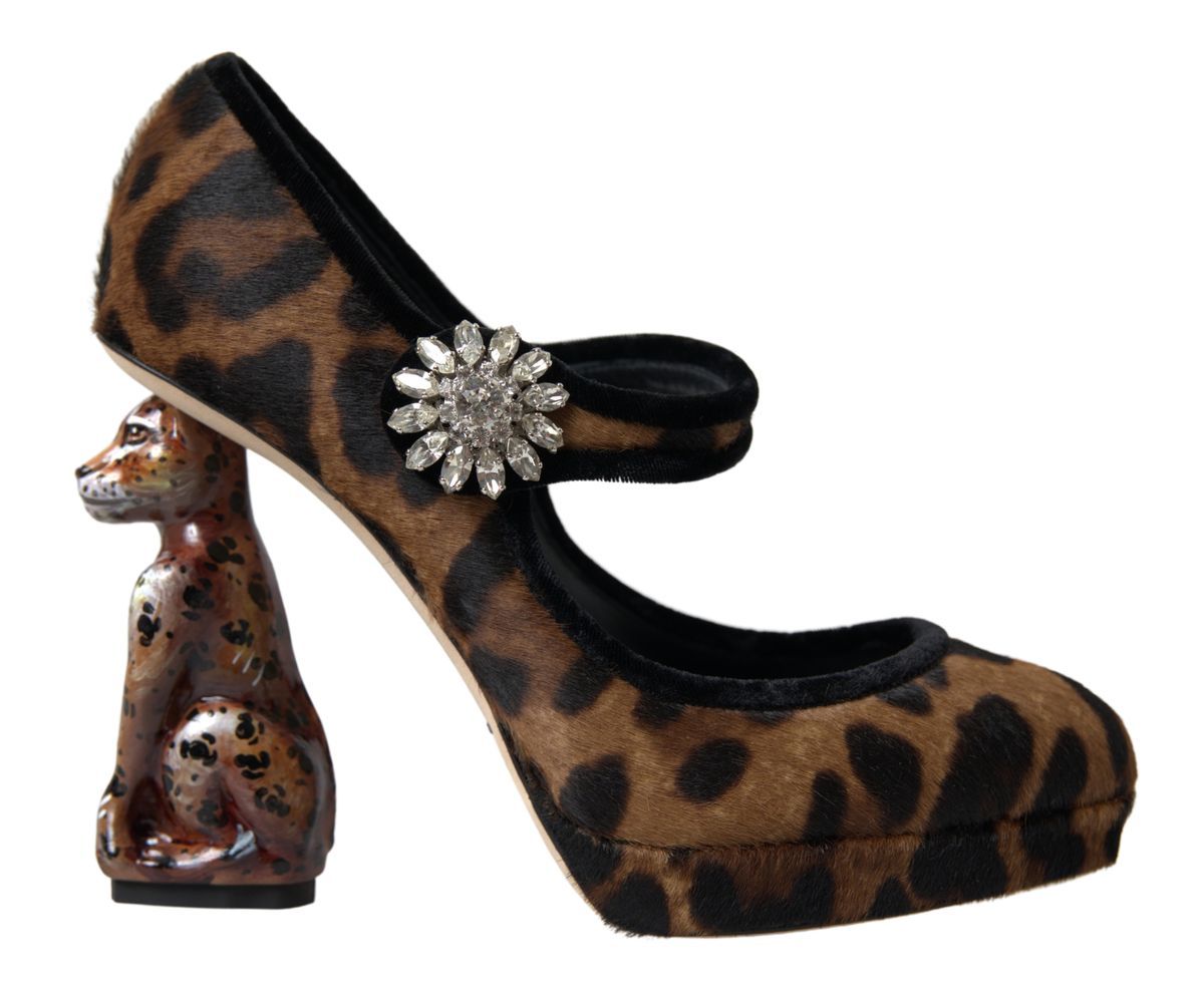 Dolce & Gabbana Elegant Leopard Heel Pumps