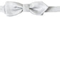 Dolce & Gabbana Gray Silk Adjustable Men Neck Papillon Bow Tie