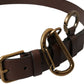 Dolce & Gabbana Brown Calf Leather Gold Metal Buckle Belt