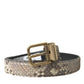 Dolce & Gabbana Brown Python Leather Gold Metal Buckle Belt