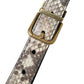 Dolce & Gabbana Brown Python Leather Gold Metal Buckle Belt