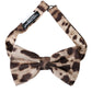 Dolce & Gabbana Brown Leopard Silk Adjustable Neck Men Bow Tie