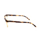 Dsquared² Brown Acetate Sunglasses