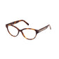 Swarovski Brown Plastic Frames