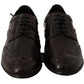 Dolce & Gabbana Brown Leather Broques Oxford Wingtip Shoes