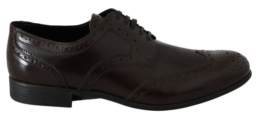 Dolce & Gabbana Brown Leather Broques Oxford Wingtip Shoes